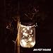Homeleo 3 Pack Solar Mason Jar Lid Insert w/Stainless Steel Hangers, Solar Powered Warm White LED Fairy Mason Jar String Light Lantern for Summer Yard Garden Patio Path Decoration(Jars NOT Included)