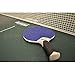 Kettler Champ 5.0 Outdoor Table Tennis Table with Outdoor Accessory Bundle: 2 Halo 5.0 Rackets, Cover, and Balls