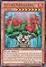 Yu-Gi-Oh! - Sylvan Hermitree (LVAL-EN020) - Legacy of the Valiant - 1st Edition - Ultra Rare