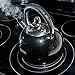 Chefs Limited Stainless Steel Whistling Tea Kettle, 2.75 Quart – Black