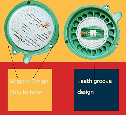 Baby Teeth Keepsake Fairy Storage Box Deciduous First Teeth Hair Holder for Girls Boys Kids Children Birthday Present(Green Dragon)