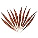 Celine lin 10PCS Natural Pheasant Feathers Pheasant Tails 14-16inch,Orange