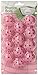 Intech Golf Practice Balls with Holes, 12 Pack (Pink)