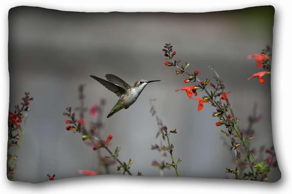 Custom Characteristic ( Animals bird Humming ) Custom Cotton & Polyester Soft Rectangle Pillow Case Cover 20x30 inches (One Side) suitable for X-Long Twin-bed