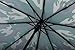 Crown CoastTravel Umbrella (Camouflage 10-Rib Frame)