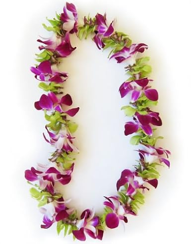 Amazon Com Hawaiian Lei Fresh Single Strand Orchid Lei