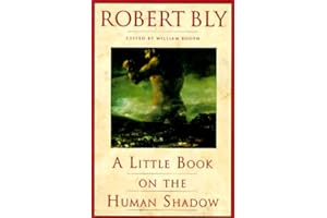 A Little Book on the Human Shadow: A Poetic Journey into the Dark Side of the Human Personality, Shadow Work, and the Importa