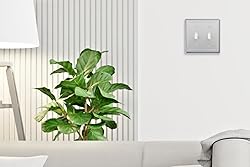 OKAWYC Double Toggle Light Switch Cover Belaire