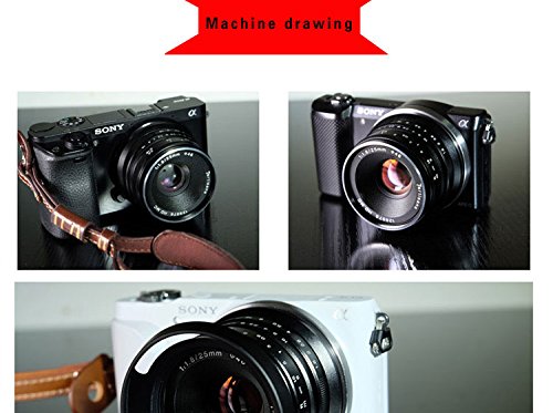 7artisans 25mm F1.8 APS-C Manual Fixed Lens for Micro Four Thirds MFT M4/3 Cameras Panasonic G1 G2 G3 G4 G5 G6 G7 GF1 GF2 GF3 GF5 GF6 GM1 Olympus EMP1 EPM2 E-PL1 E-PL2 E-PL3 E-PL5-Black
