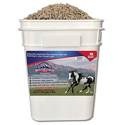 Top 10 Horse Supplements For Laminitis of 2019 No Place Called Home