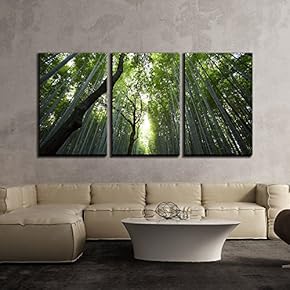 3 Piece Canvas Wall Art - Nature Landscape of Bamboos - Modern Home Art Stretched and Framed Ready to Hang - 16"x24"x3 Panels