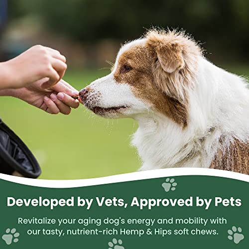 Veterinary Naturals Hemp & Hips Joint Supplement for Dogs 60 Soft