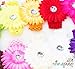 Ema Jane - Large Gerber Daisy Flower Hair Clips (16 Pack)
