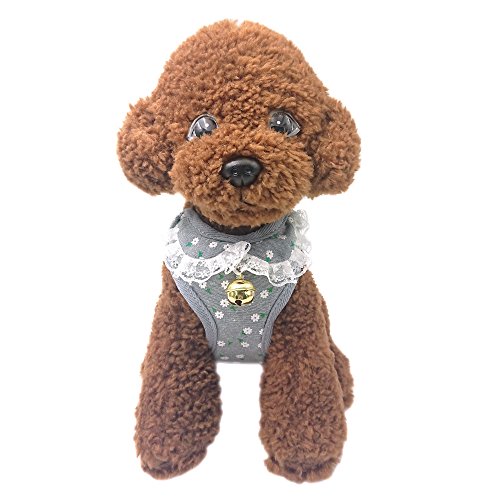 M2cbridge Small Dog Harness Leash Leads Set Step-in Soft Mesh Vest Cat Collar (M, Gray)