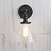 Permo Single Sconce with Funnel Flared Glass Clear Glass Shade 1-Light Wall Sconce Wall Lamp (Black）