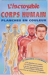 L' incroyable corps humain