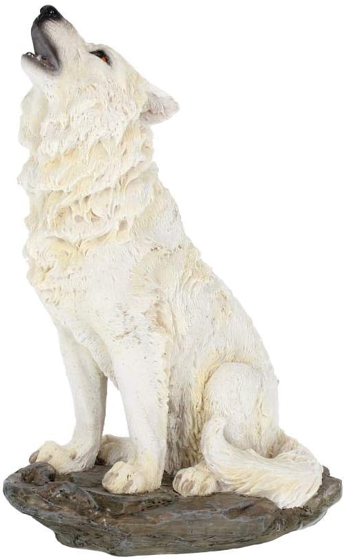 Nemesis Now H2521G6 Storms Cry Figurine 22cm White, 20cm - Image 4