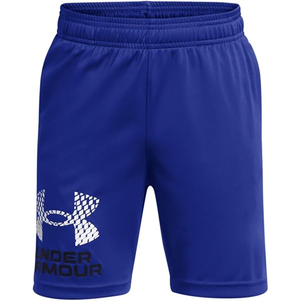 Amazon.com: Champion Boy's Vertical Script Mesh Shorts (Big