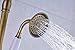 Rozin Antique Brass Bathroom Shower Faucet Set 8 Inch Shower Head + Hand Spray