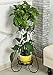 AISHN Metal Plant Stand 2-Tiered Potted，Supports Floor Flower Pot Round Rack Display，Perfect For Home, Garden, Patio, Outdoor Indoor