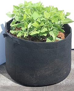 Image of DynaPOT 10 Gallon Garden Planting Aeration Fabric Container, Durable Fabric Grow Pots, Perfect Heavy Harvest Planter Raised 

Bed, Best Root Treatment Eco-Friendly Grow Bags, Black, 11.5x16x16 inch