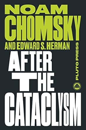 After The Cataclysm The Political Economy Of Human Rights Volume Ii Chomsky Perspectives