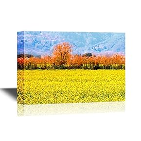 Landscape Yellow Rape Flower Field