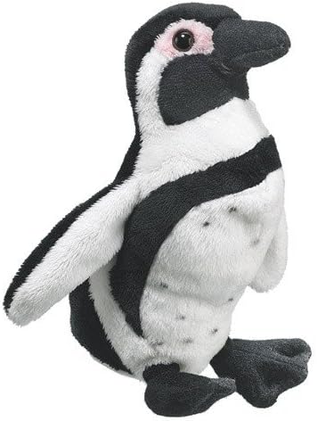 Black-footed Penguin (Conservation Critters)