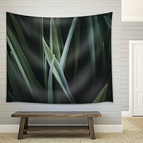 Closeup of Leaves at Dark - Fabric Wall Tapestry Home Decor - 51x60 inches