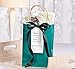 Fun Express Turquoise Medium Kraft Paper Bags (12 Pack) Craft