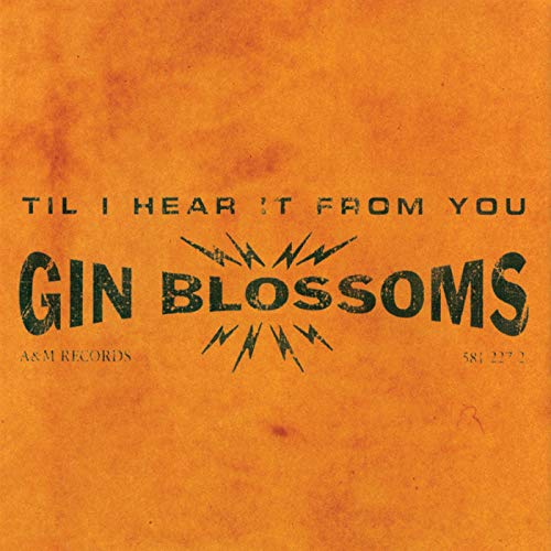 The Best Of Gin Blossoms 20th Century Masters The Millennium Collection