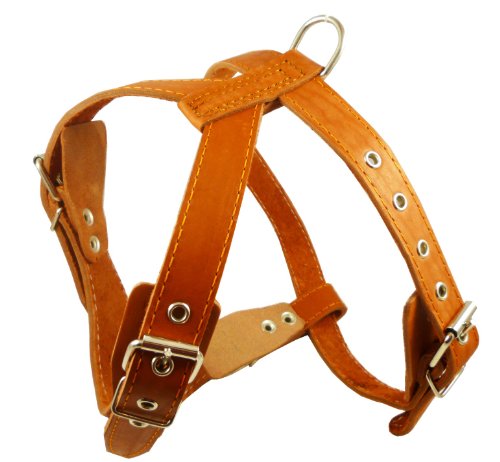 Orange Genuine Leather Dog Harness, Medium. 25"-30" Chest, 1" Wide Adjustable Straps