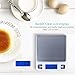 Dapai Mini Digital Kitchen Scale, Multifunction Food Scale, 0.1g-3kg, Tare & PCS Functions, Back-Lit LCD Display, Stainless Steel, Batteries Included (Silver)
