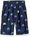 Kanu Surf Boys' Terrapin Turtle Quick Dry Beach Board Shorts Swim Trunk