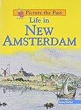 Life in New Amsterdam (Picture the Past)