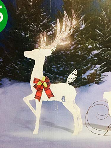 60" Cool White Splendor Lighted Reindeer Sleigh Display Outdoor Christmas Decoration Seasonal Winter Holiday Yard Art Sculptures (Renewed)