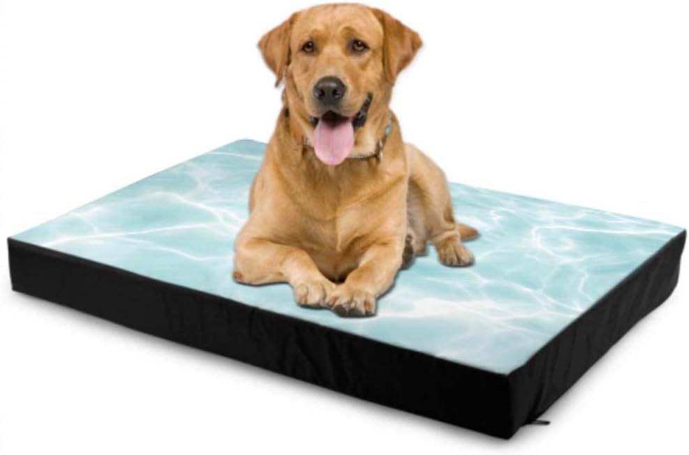 RYUIFI Personalized Dog Bed Blue Summer Cool Swimming Pool Under Water