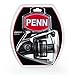 Penn Pursuit II Spinning Fishing Reel