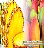 PINEAPPLE MANGO Fragrance Oil - 100% Premium Grade Uncut Oil - Sweet Pineapple blended with Tropical Mango, mixed with a hint of Lotus and Warm Vanilla - Fragrance Oil By Oakland Gardens