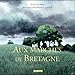Aux Marches de Bretagne (La petite carree) (French Edition) by 