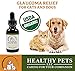 Healthy Pets Hemp Oil for Dogs, Dog Anxiety Relief, Hemp Oil for Pets, Dog Pain Relief, Oil for Dogs, Cat Anxiety Relief, Arthritis Pain, Hip and Joint Pain, USDA Certified Organic