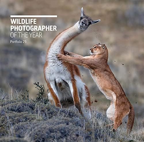 Natural History Museum 60 Years of Wildlife Photographer of the