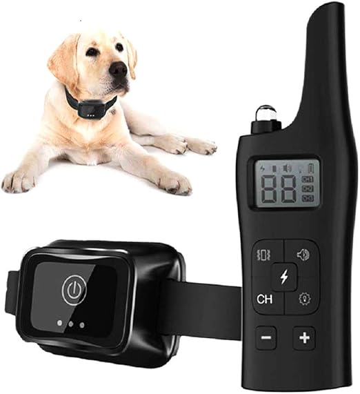 shock collar training for barking