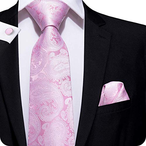 Hi-Tie Men Classic Light Pink Paisley and Floral Tie Necktie and Pocket Square Tie Set