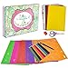 Drawing Stencils for kids - 64pcs Over 300 Patterns Plastic Stencils Set with Iron Case, Dinosaur/Letter/Animal Stencils Creativity Kit and Travel Activity Arts and Crafts Toy for Boy and Girls