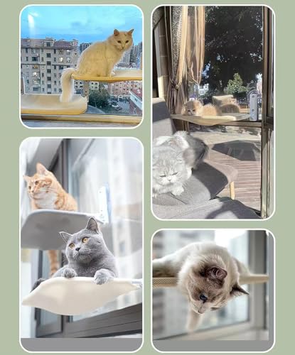 SULUNZEGER Window Perch, Foldable Sunbath Cat Bed With Funny Stick, Hammock With Solid Metal Frame and Soft Cover, Space Saving Window Mounted Cat Hammock