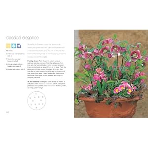 200 Great Containers: Hamlyn All Colour Gardening