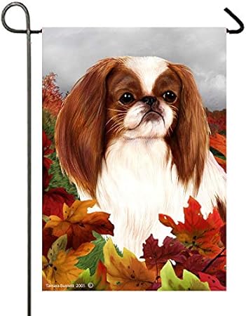 red japanese chin