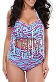 American Trends Women's Plus Size High Waist Fringe Bikini Retro Swimwear Swimsuit Blue Zebra US Size 14-16(Size 2XL)
