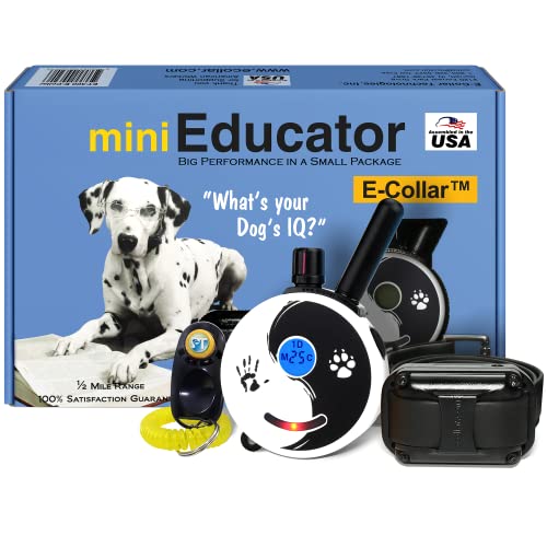 Educator Mini ET300 Zen 1/2 Mile Ecollar Dog Training Collar with